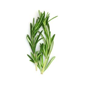 Rosemary Leaves