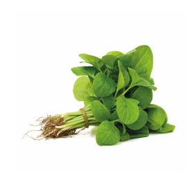 Baby Spinach