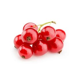 Red Currant Holland