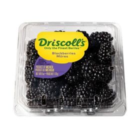Driscoll's Blackberry