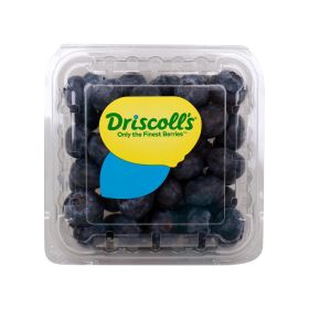 Driscoll's Blueberry South Africa