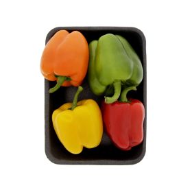 Capsicum Mix Holland
