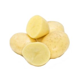 Potato White Australia