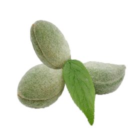 Green Almond
