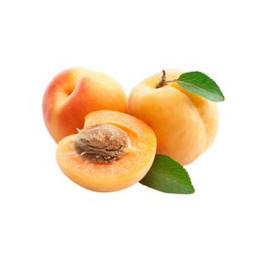 Apricot Spain