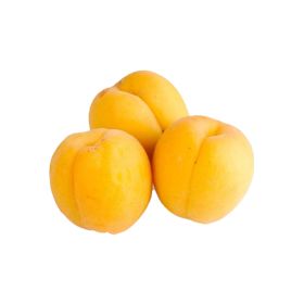 Apricot