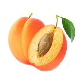 Apricot Morrocco