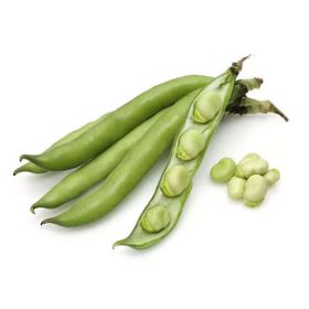 Broad Beans Syria