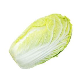 Chinese Cabbage