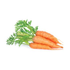 Carrot Local