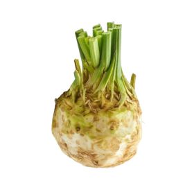 Washed Celery Roots Holland