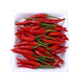 Chili Bird Red Thailand