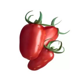San Marzano Cherry Vine Tomato