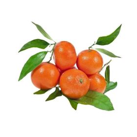 Clementine With Leaves Turkey