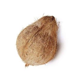 Coconut Dry India