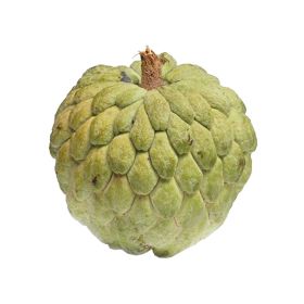 Custard Apple Spain