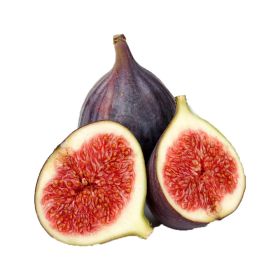 Figs Premium