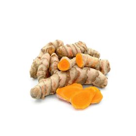 Fresh Turmeric Thailand