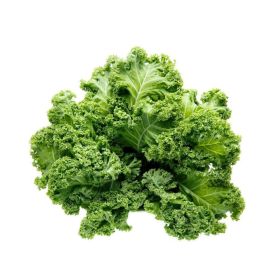 Kale Curly Holland