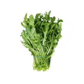 Baby Lettuce Rocket Holland