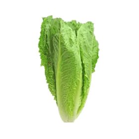 Organic Romaine Lettuce