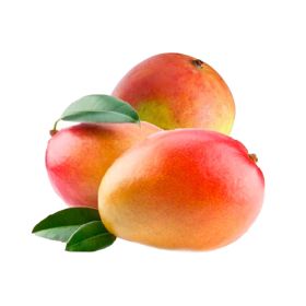 Mango Tommy South Africa