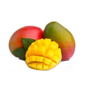 Mango Shelly Egypt