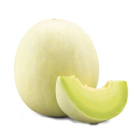 Honeydew Melon