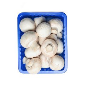 Mushroom White Local