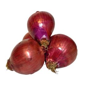 Red Onion Holland
