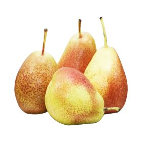 Pear Forelle South Africa