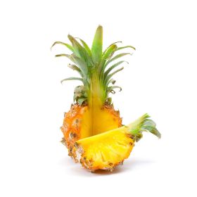 Large Baby Pineapple South Africa