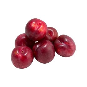 Plum Red Australia