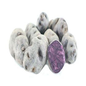 Potato Purple France
