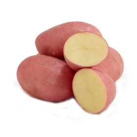 Potato Chat Red Australia