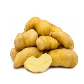 Ratte Potato France