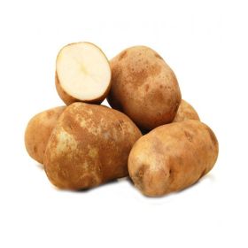 Russet Potato USA