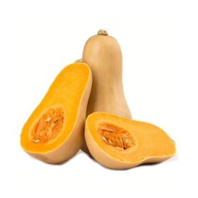 Pumpkin Butternut South Africa