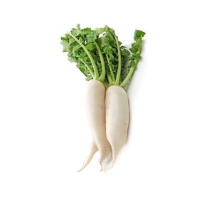 Radish White China