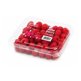 Elite Raspberry UAE