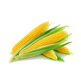 Sweet Corn UAE