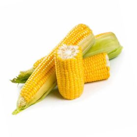 Sweet Corn Local