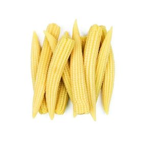 Baby Corn Kenya