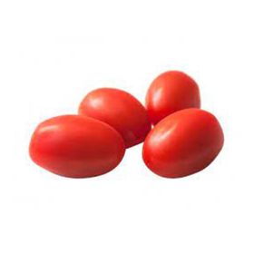 Roma Tomato Local