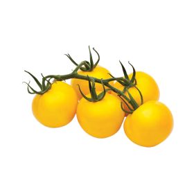 Tomato Yellow Bunch
