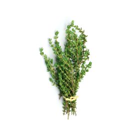 Thyme Holland