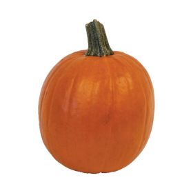 Halloween Pie Pumpkins USA