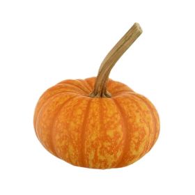 Halloween Sparkler Pumpkin USA