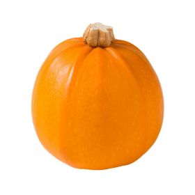 Halloween Wee Be Little Pumpkin USA