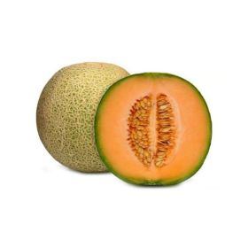 Rock Melon Brazil